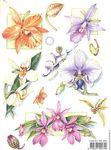 Mb0051 Bloemen