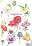 Mb0050 papavers