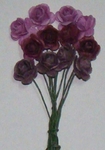 Rb2201 English rose