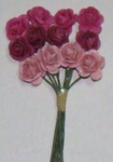 Rb2206 Tea rose