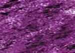 C250 Derwent Coloursoft - Purple