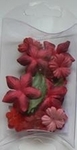 Cp8913 Red / rood