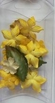 Cp8918 Yellow / geel
