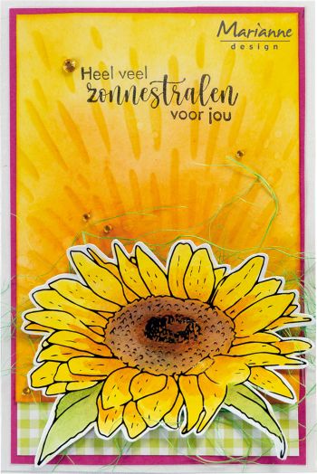 Kaart Zonnebloem