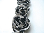 Fr1104 Ivory, black, gray  