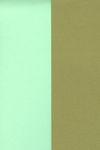 Duo karton Lichtgroen - goud - 5vel