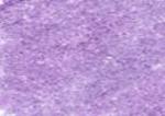 C260 Derwent Coloursoft - Bright Lilac