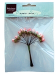Ju0848 Rose buds