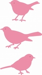 Col1311 Birds