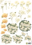 Mb0142 Knipvel Mattie - white roses