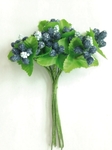 Ju0904 Berries blue