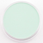 640.8 Pan pastel - Permanent green tint