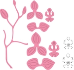 Col1379 Orchid