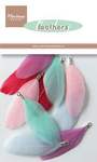 Ca3129 Feathers: colours