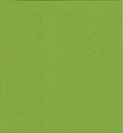 Papicolor 328 recycled karton groen