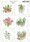 Ewk1255 Knipvel Herbs & leaves 2