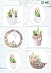 Vk9565 Knipvel Tulips & willow cats