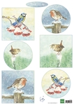 It605 Knipvel - Tiny's birds in winter