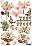 Mb0115 Roze amaryllis
