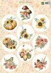 Vk9637 Knipvel - Autumn Flowers - A4